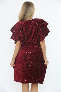 V-Neck, Elasticated Waist, Frill Sleeve, Velour & Sequin Dress.